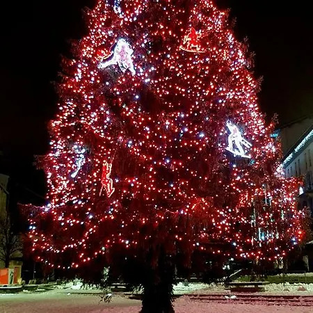 أبارتمنت ليه أروليه شقة